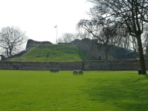 Dunham Massey in the spring 134