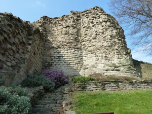 Dunham Massey in the spring 153